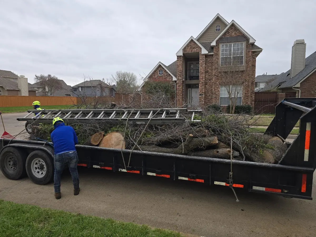 Expert Tree Fertilization with proper safety equipment in Waite